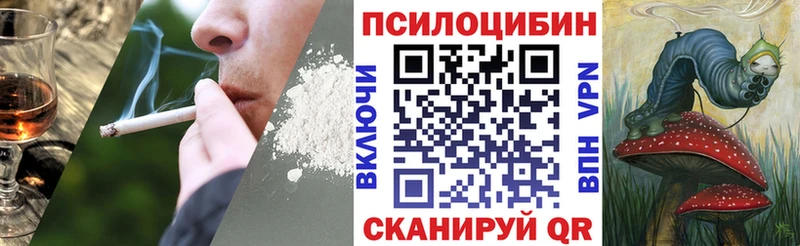 Галлюциногенные грибы Magic Shrooms  площадка телеграм  Реж 